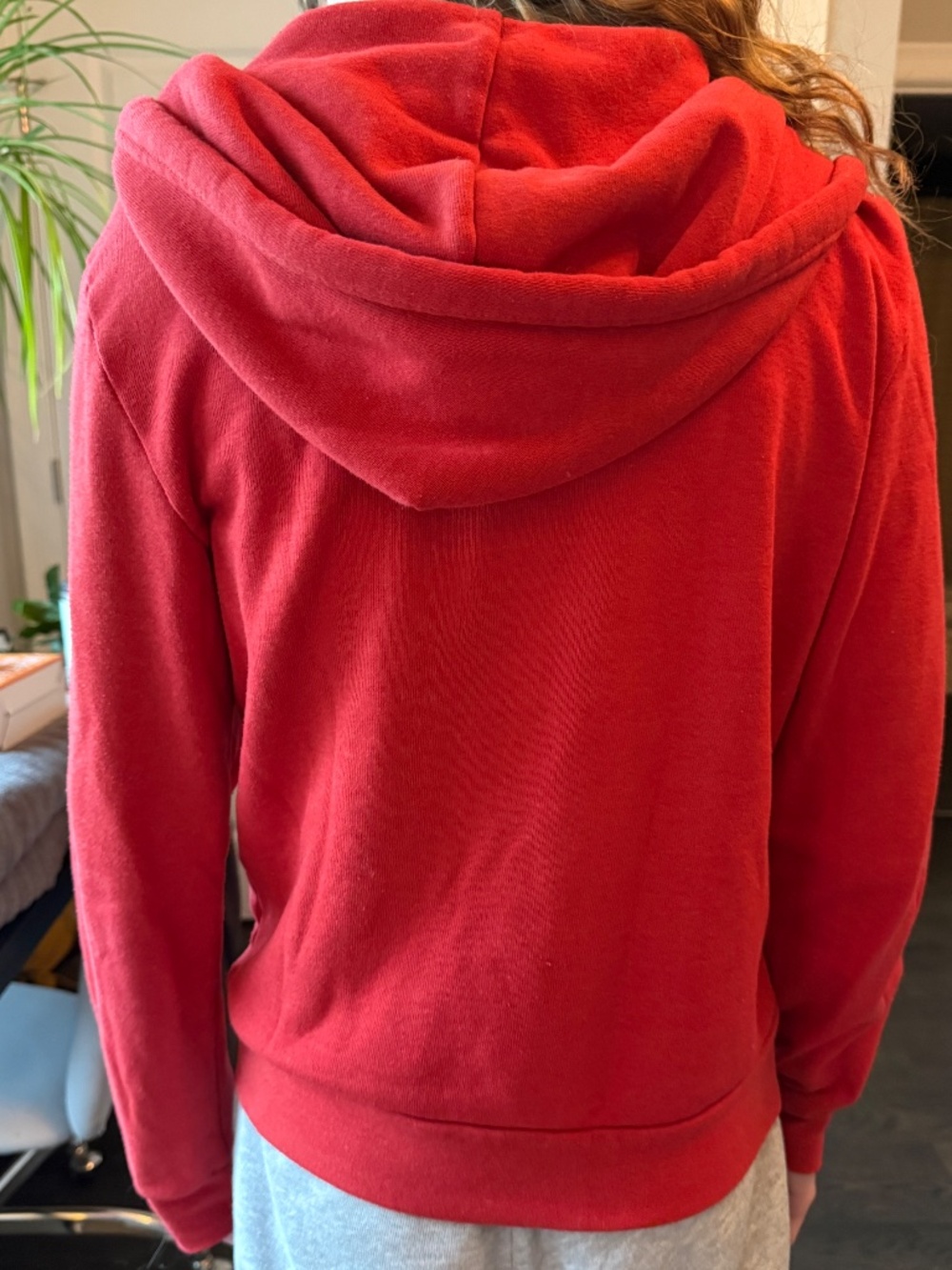 Aviator Nation 5 Stripe Hoodie - Red, Size S - Picture 5 of 7